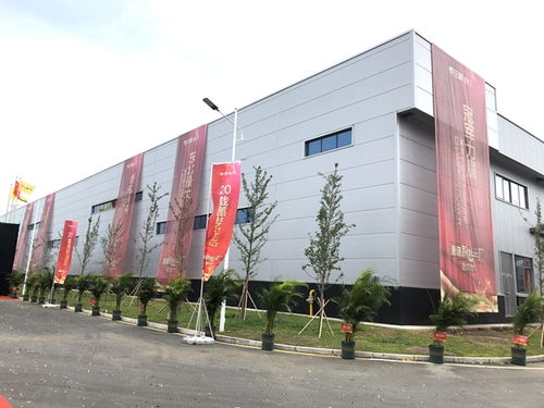 三峰木門(mén)超級(jí)智慧工廠落成啟動(dòng)儀式盛大舉行